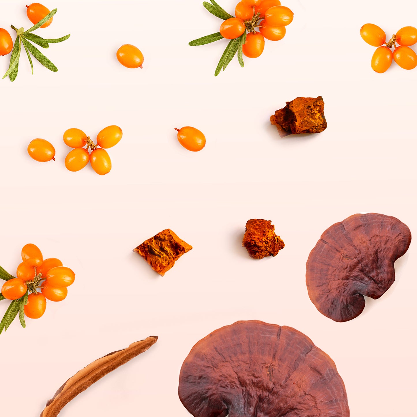 Egészség időseknek